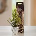 Kerstpakket Chocolate en Tree