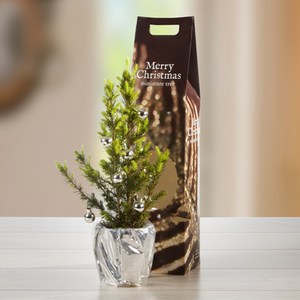 Kerstpakket Chocolate en Tree