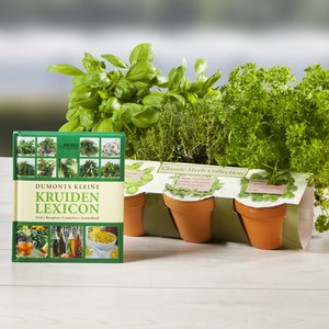 Kerstpakket Bio en Kruiden