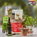 Kerstpakket Flaming Spring