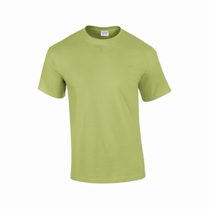 Gildan 2000 T-shirt ultra cotton pistachio