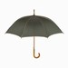 Automatisch te openen paraplu Waltz, groen, beige