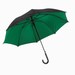 Automatisch te openen paraplu Doubly, zwart, groen